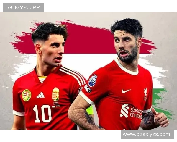 探索索博斯洛伊的历史与文化魅力，揭示其在现代社会中的独特价值与影响